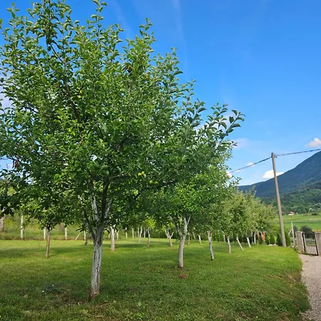 Seosko Domacinstvo Bajbut Bihac