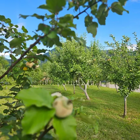 Seosko Domacinstvo Bajbut Bihać