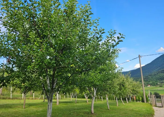 Seosko Domacinstvo Bajbut Bihać