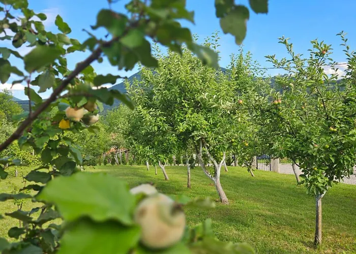 Seosko Domacinstvo Bajbut Bihać